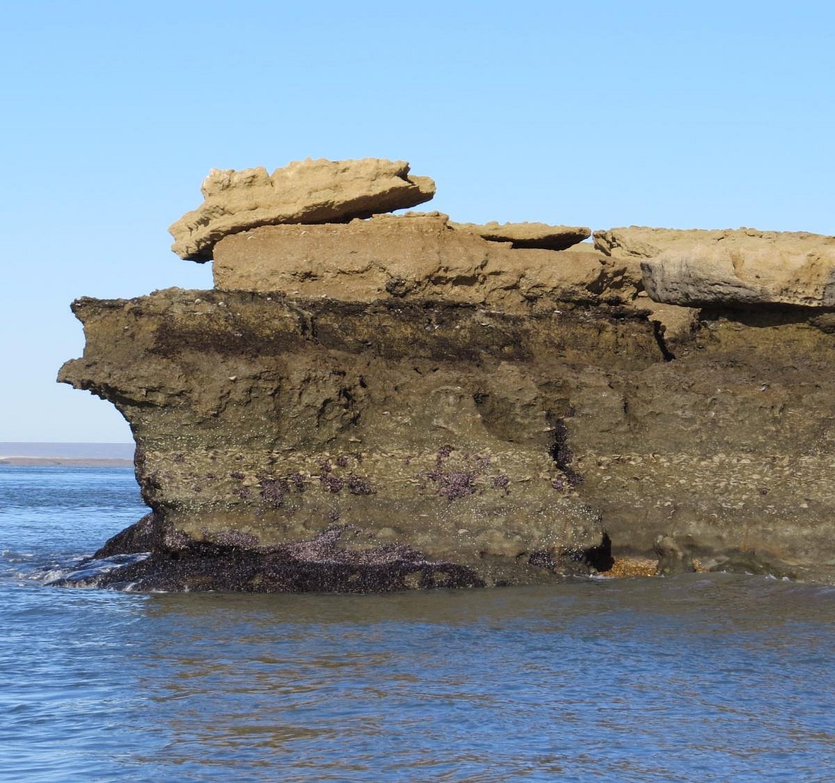 Formación rocosa costera de Barranca de los Lobos Mar del Plata