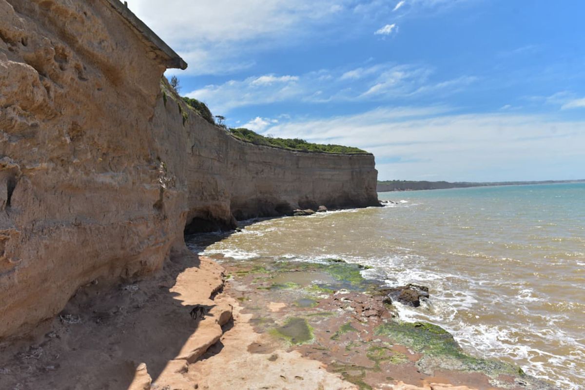 Acantilados de loess con restingas y algas en Los Acantilados Mar del Plata