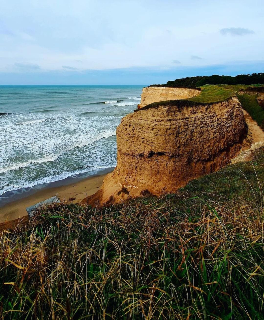 Barrancas con estratos de Los Acantilados Mar del Plata con vegetación