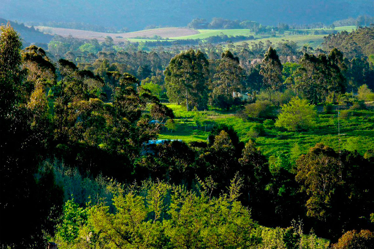 Paisaje de sierras y vegetación en Sierra de los Padres Mar del Plata